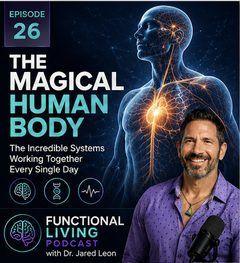 The Magical Human Body — A Functional Living Mindset cover art